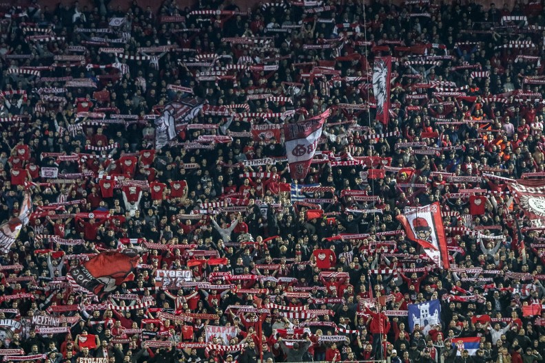 REŠENO GORUĆE PITANJE Zvezda dobila novog predsednika!