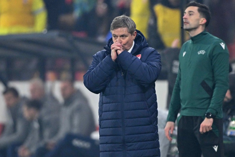 "JAKO MI JE TEŠKO" Selektor Dragan Stojković se oglasio nakon remija sa Danskom: Bar smo pokušali...