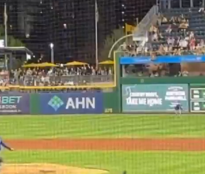 SVI IGRAČI U ŠOKU Navijač pao sa tribina tokom utakmice, ovo je jezivo (VIDEO)