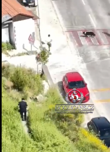 DA LI JE OVO REALNO? Snimak zapalio društvene mreže: Navijač pobegao od policije sa sve lisicama (VIDEO)