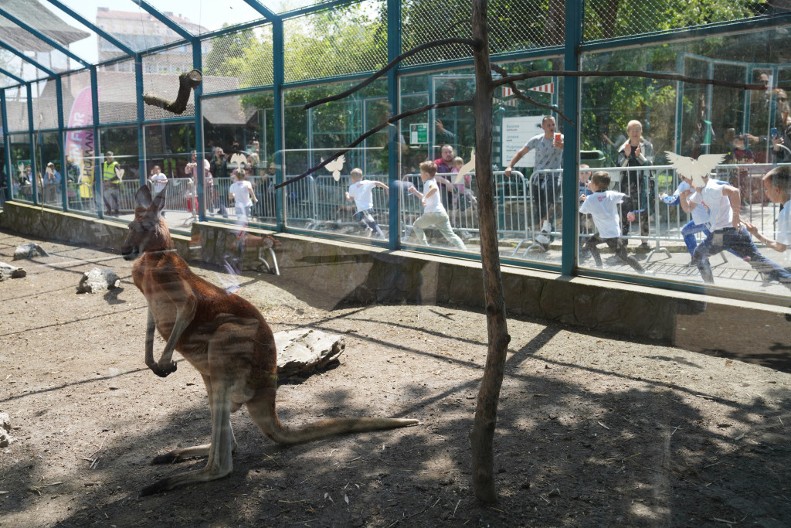 Habuš: Dečji maraton u Zoološkom vrtu više od same trke, uključuje decu u zdrav život